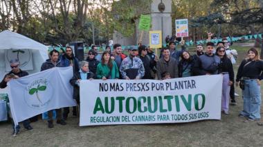 Marcha por la Marihuana en Necochea: Llamado urgente por la aplicación de ordenanza local y alerta nacional