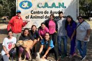 ¡Celebración canina! El CAAN invita a una jornada especial por el Día del Animal