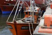 Reviviendo la tradición: Necochea se prepara para la anhelada Fiesta de los Pescadores