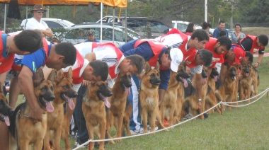 Necochea anfitrión del tercer Torneo Nacional de Ovejeros Alemanes