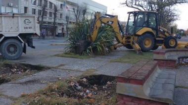Extrajeron las históricas plantas "fornios" del centro