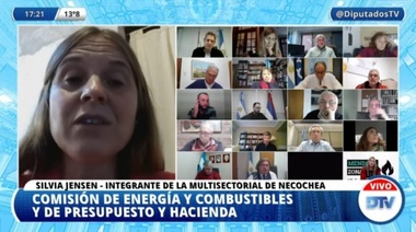 "Zonas Frías": Silvia Jensen justificó el proyecto en la Comisión de Energía del Congreso Nacional
