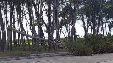 El temporal dejó voladuras de techos y personas evacuadas