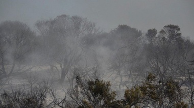 Miramar: controlaron el incendio aunque se perdieron 50 hectáreas