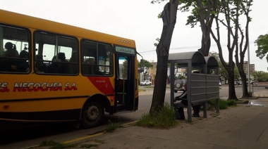 Por conflicto entre Nación y CABA, Necochea resalta con la tarifa de colectivos más alta del país