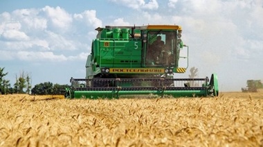 Se disparó el precio mundial del trigo por la invasión rusa a Ucrania