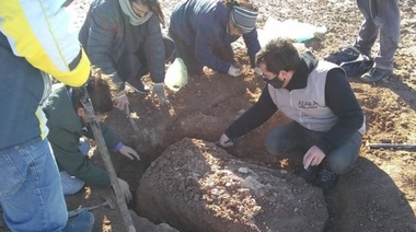 Hallaron restos de un perezoso prehistórico gigante en Miramar