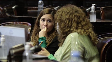 Charla virtual y conversatorio para impulsar la ley de prestación alimentaria básica parental