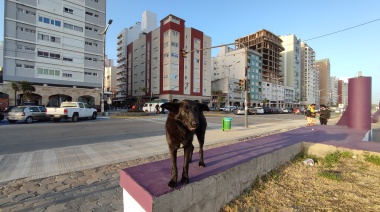 Soleado y fresco para todo el finde: El detalle del clima