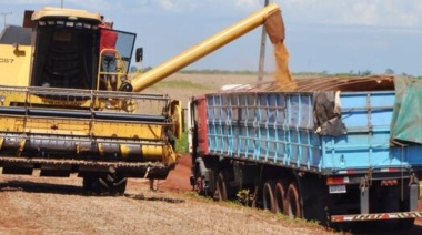 Campo: Se confirmó la compensación para pequeños y medianos productores de soja y maíz