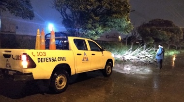 Anivesario nacional del trabajo de Defensa Civil: Desde Necochea brindaron un panorama