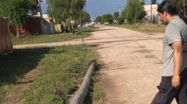 Llovieron 46 milímetros y hubo calles anegadas, postes y árboles caídos