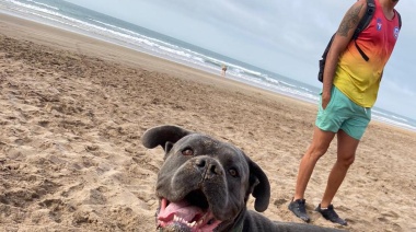 Truman: El perro guardavidas que aprende a rescatar bañistas en Necochea