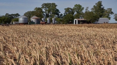 La Provinica prorrogó la emergencia agropecuaria y sumó a 9 distritos