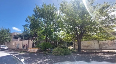 Cortaron dos árboles y un vecino lo hizo saber en redes