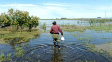 Se complica la siembra del trigo en la provincia por las inundaciones