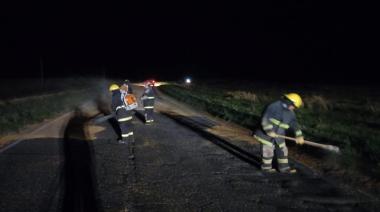 Derrame de cereal en Ruta 86: Bomberos actuaron rápidamente