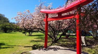 Último día de invierno en Necochea: Clima fresco y nublado