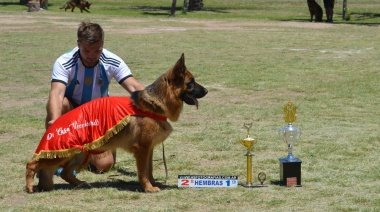 Niza de Di Casa Vecchiarelli en Necochea: Subcampeona nacional de ovejeros alemanes