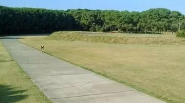 Grave accidente cerca del velódromo