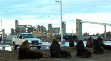 Cómo estará el clima en Necochea este martes 21 de Noviembre