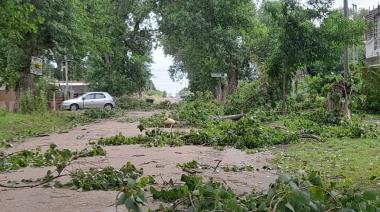 El temporal dejó destrozos por toda la ciudad