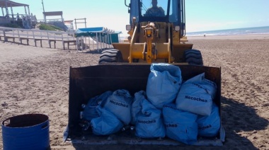 Tras la invasión de algas, refuerzan limpieza en las playas de Necochea y Quequén