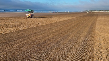 Tras la invasión de algas, refuerzan limpieza en las playas de Necochea y Quequén