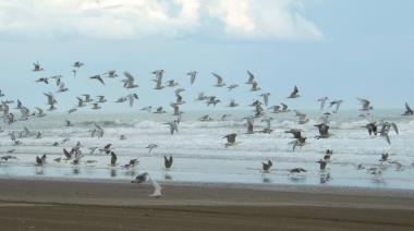 El clima para este sábado en Necochea: tormenta de madrugada y sol por la tarde