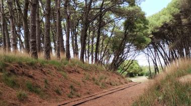 Sábado ventoso en Necochea, pero no anuncian lluvias