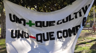 Marcha por la Marihuana en Necochea: Llamado urgente por la aplicación de ordenanza local y alerta nacional