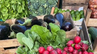 Taller de huerta en Necochea: Aprendé agroecología gratis
