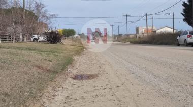 Continúan las repercusiones por el fatal accidente en avenida 42: ¿Qué pasó con los alcoholímetros en Necochea?