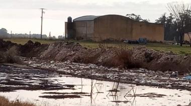 Avícola Jurjen bajo investigación ambiental en Necochea: Revocaron la desestimación de la denuncia