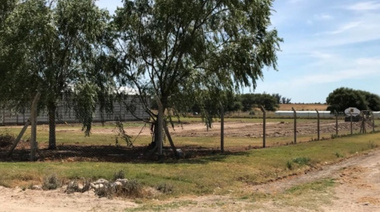Don Jorgito plantea duplicar la producción de papas en la Ciudad