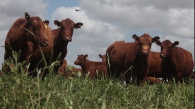 Trabajo en el campo: Se necesita personal en Lobería