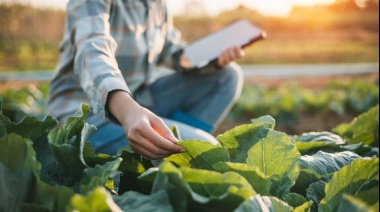 Gran oportunidad en Necochea: Se busca Ingeniero/a Agrónomo para empresa con 50 años de trayectoria