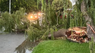 Fuerte temporal azotó Necochea y Quequén: destrozos, corte de luz y suspensión de eventos