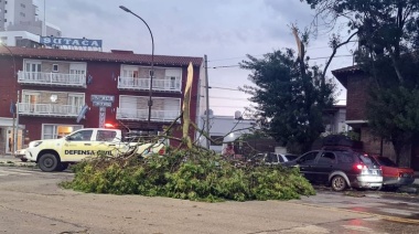 Fuerte temporal azotó Necochea y Quequén: destrozos, corte de luz y suspensión de eventos