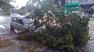 Fuerte temporal azotó Necochea y Quequén: destrozos, corte de luz y suspensión de eventos