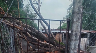 Fuerte temporal azotó Necochea y Quequén: destrozos, corte de luz y suspensión de eventos
