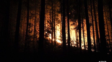 Mientras los incendios consumen la Patagonia, el gobierno ignora la emergencia