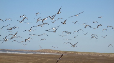 Miércoles cálido en Necochea: 28°C y ráfagas de viento del noroeste