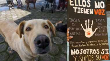Marcharán por los perros torturados y asesinados, tras el caso de Hércules