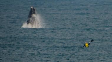 Sala inmersiva sobre ballenas: nueva propuesta educativa y gratuita en Necochea