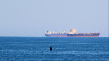 Viernes en Necochea: el SMN anticipa neblina, ráfagas de hasta 50 km/h y tarde templada