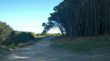 Clima en Necochea hoy: ráfagas de hasta 59 km/h y probabilidad de chaparrones