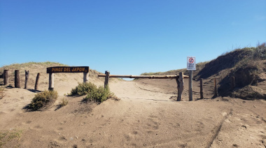 ¡Sumate al verde! Este domingo, plantá en el Karamawi y ayudá a cuidar el Parque Miguel Lillo