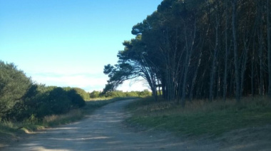 Cómo estará el tiempo en Necochea este jueves: viento del norte y cielo parcialmente nublado