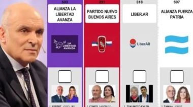 “El capricho de Milei nos costará 100 palos verdes”: crece la bronca por la renuncia de Espert